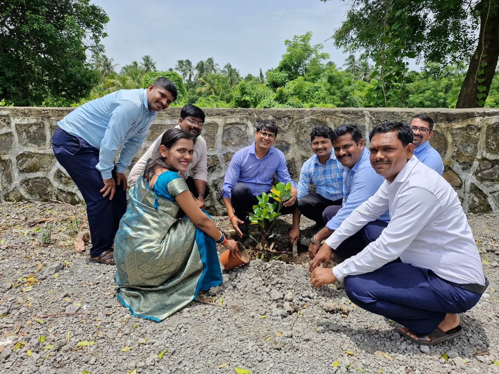 TREE PLANTATION